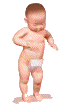bebe